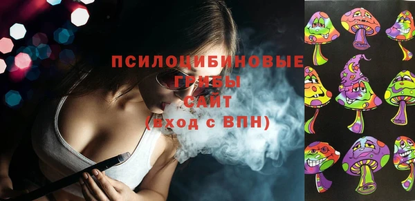 молекула духа Балахна