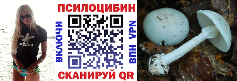 Псилоцибиновые грибы прущие грибы Жуковка