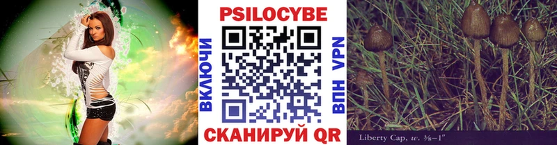 Галлюциногенные грибы MAGIC MUSHROOMS  Жуковка 